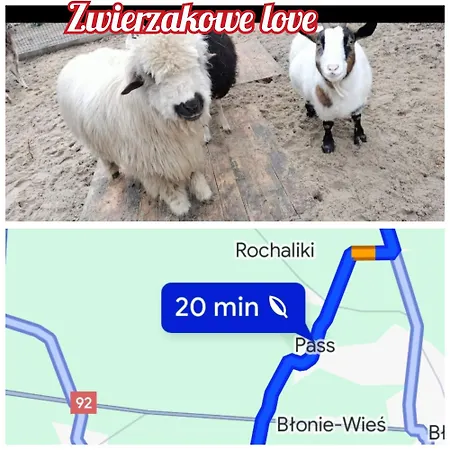 Pod Kasztanami Blisko A2 Baranow (Grodzisk Mazowiecki)