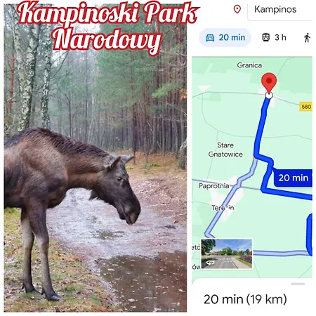 Pod Kasztanami Blisko A2 Apartment *