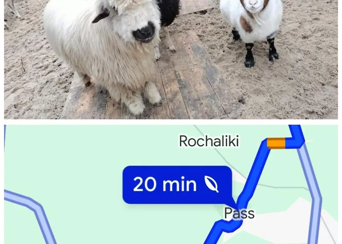 Pod Kasztanami Blisko A2 Baranow (Grodzisk Mazowiecki)