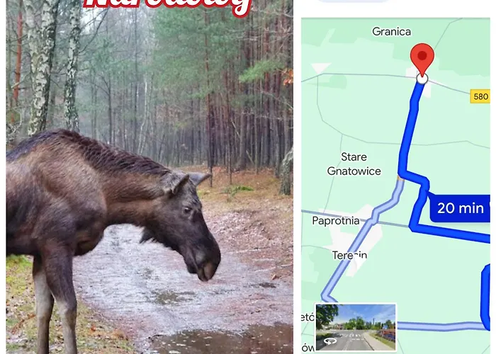 Pod Kasztanami Blisko A2 Apartment *